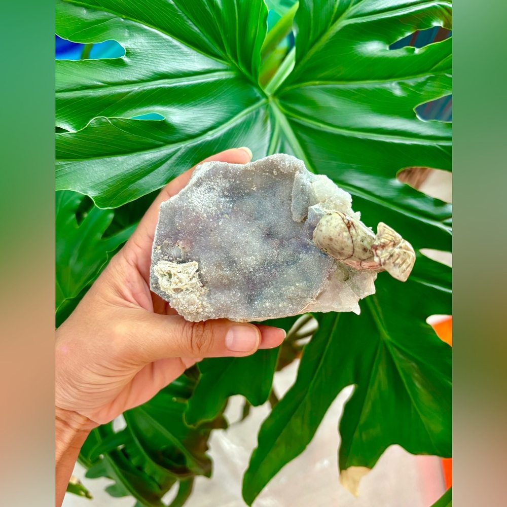 Whale carving on Amethyst flower - Picture 7 of 8